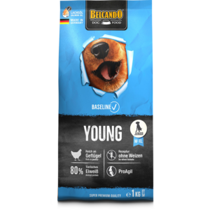 Belcando Baseline Young