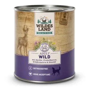 Wildes Land Classic Wild mit Kürbis