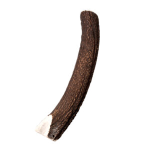 Wildes Land Geweihsnack Natur Hirschgeweih Halb XL XL