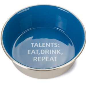 Beeztees Edelstahl Hund Napf Talents BL 20