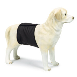 Beeztees Inkontinenz Hose Rüde Schwarz XS